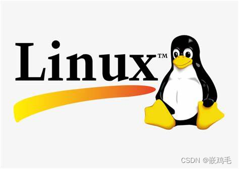 Linux入门及常用命令(嵌入式开发必学)