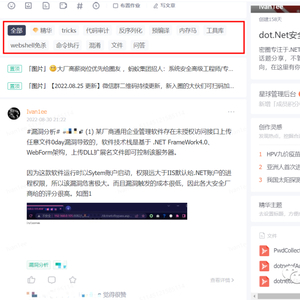 双十一狂欢，.NET安全矩阵星球优惠来袭！