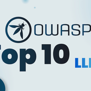 生成式AI安全最佳实践 - 抵御OWASP Top 10攻击 (下)