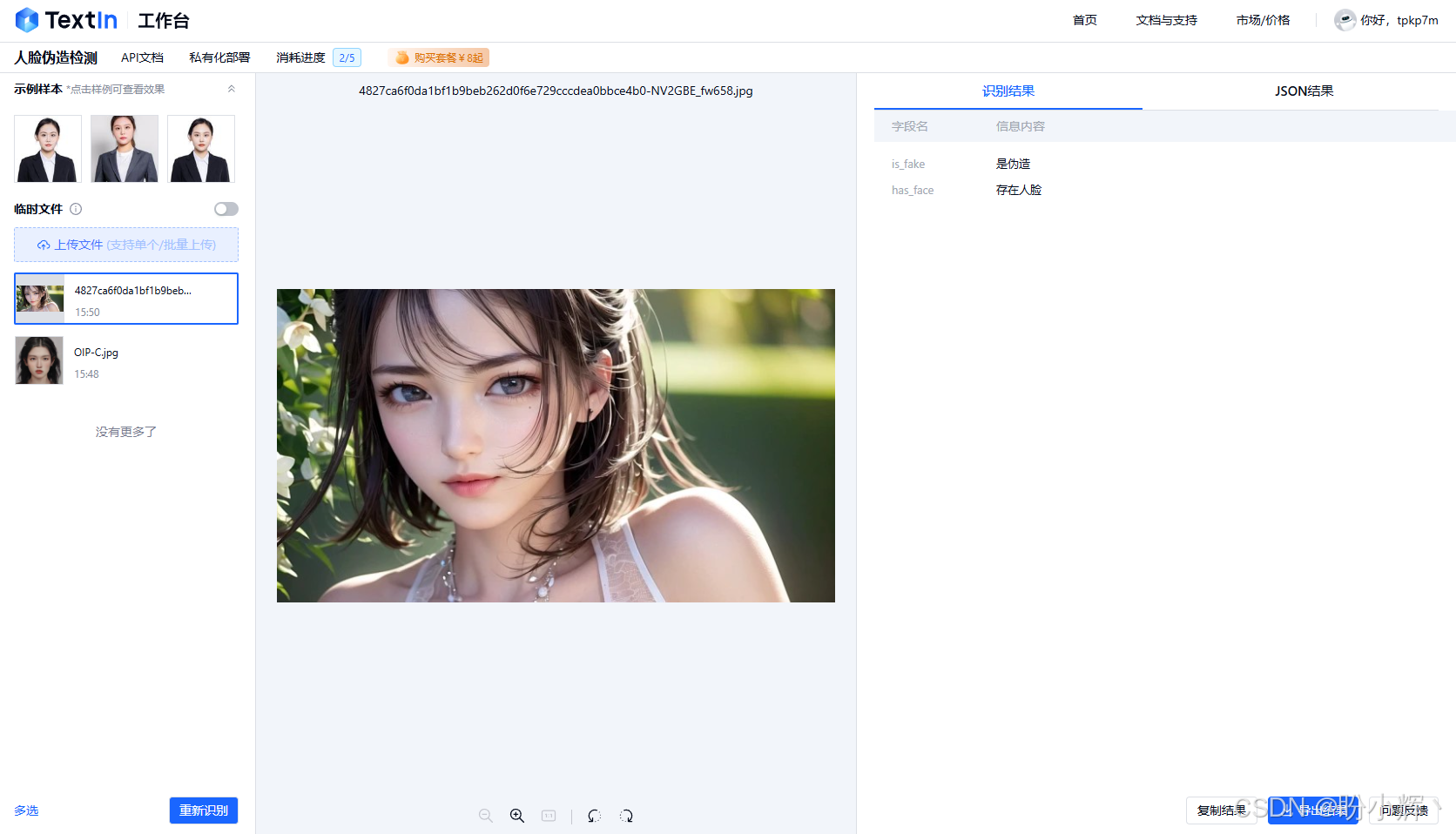 人脸伪造检测