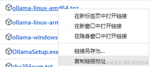 浅谈人工智能之Linux：基于ollama进行本地化大模型部署