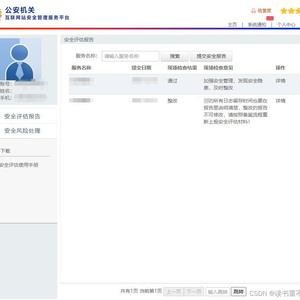 互联网安全评估报告